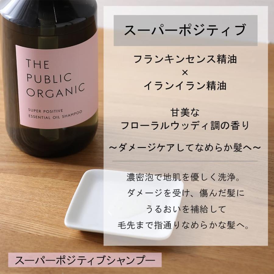 THE PUBLIC ORGANIC（ザ パブリック オーガニック） 本体セット ザ