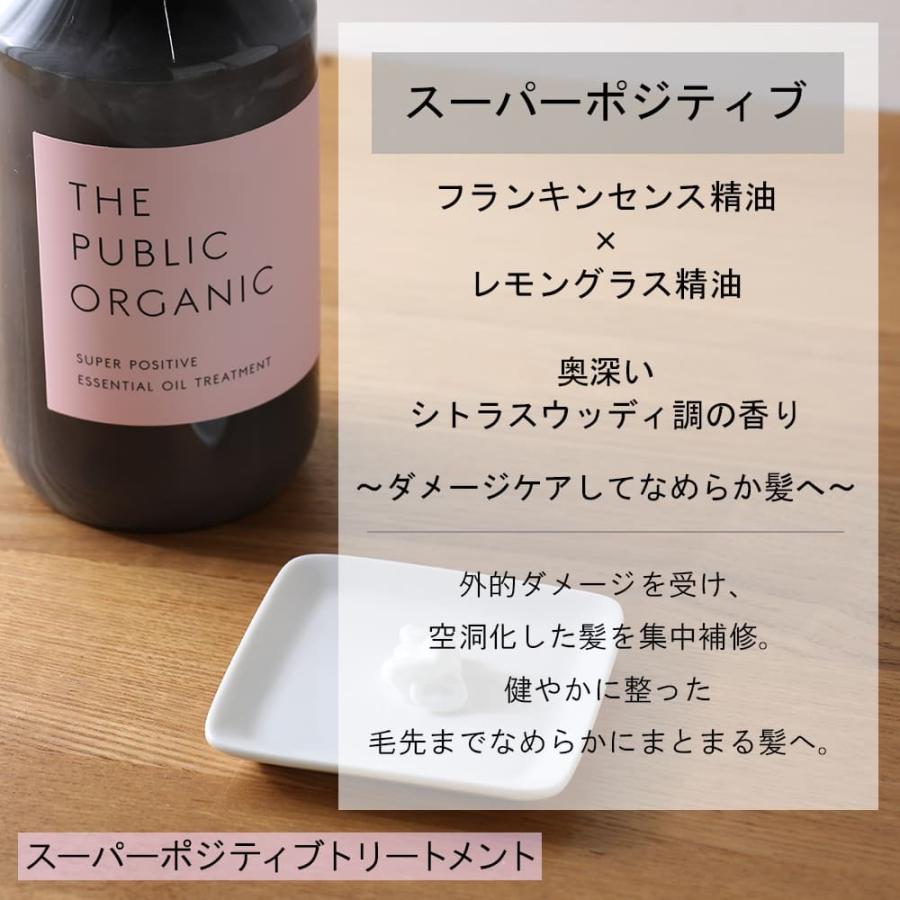 ザ パブリック オーガニック シャンプー&トリートメント 8本 THE PUBLIC ORGANIC（ザ パブリック オーガニック） 本体セット ザ