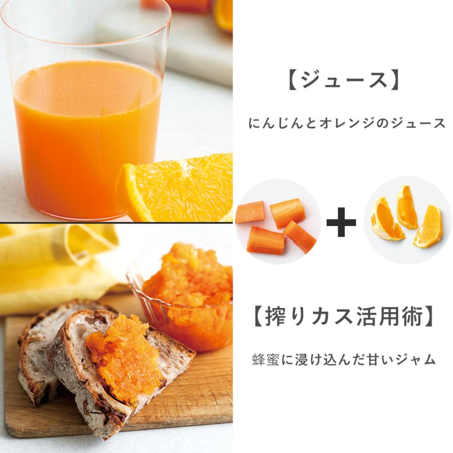 レコルト Coldpress Juicer Mini コールドプレスジューサー ミニ RCJ-1 recolte スロージューサー コールドプレス 無水ジュース ラッピング不可｜santelabo｜05