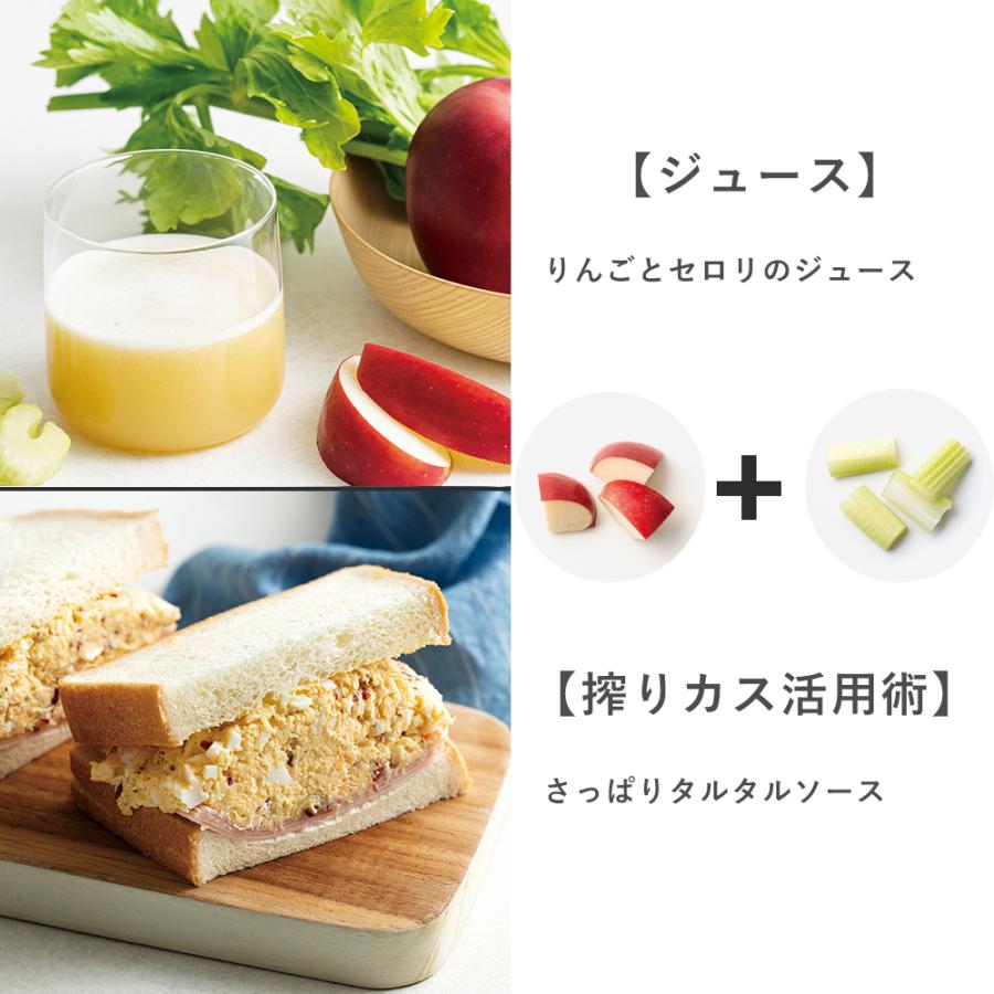 recolte ジューサー レコルト コールドプレスジューサー ミニ