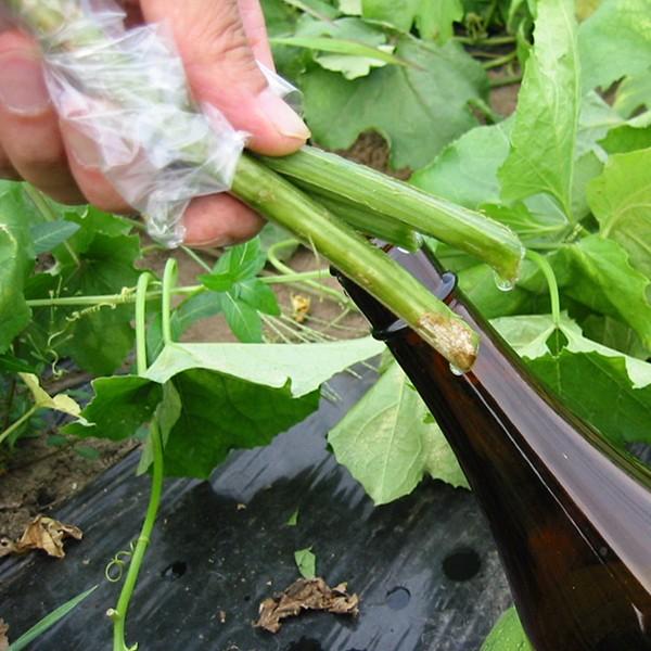 へちまここち 化粧水 へちまローション 120ml 国産へちま水100% 無添加