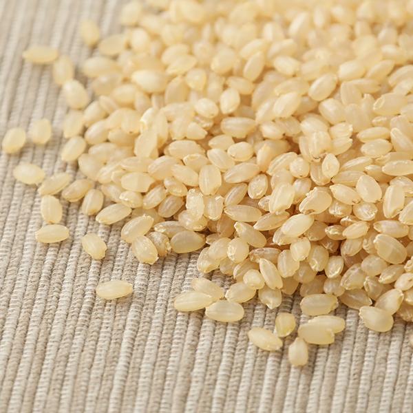 マゴメ 国内産 発芽玄米 有機栽培米使用 1kg コシヒカリ マゴメ 国内産 発芽玄米 有機栽培米使用 1kg コシヒカリ