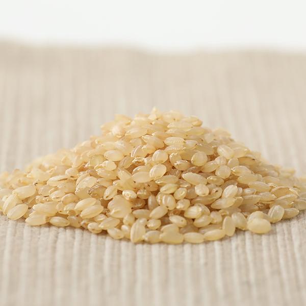 マゴメ 国内産 発芽玄米 有機栽培米使用 1kg コシヒカリ マゴメ 国内産 発芽玄米 有機栽培米使用 1kg コシヒカリ