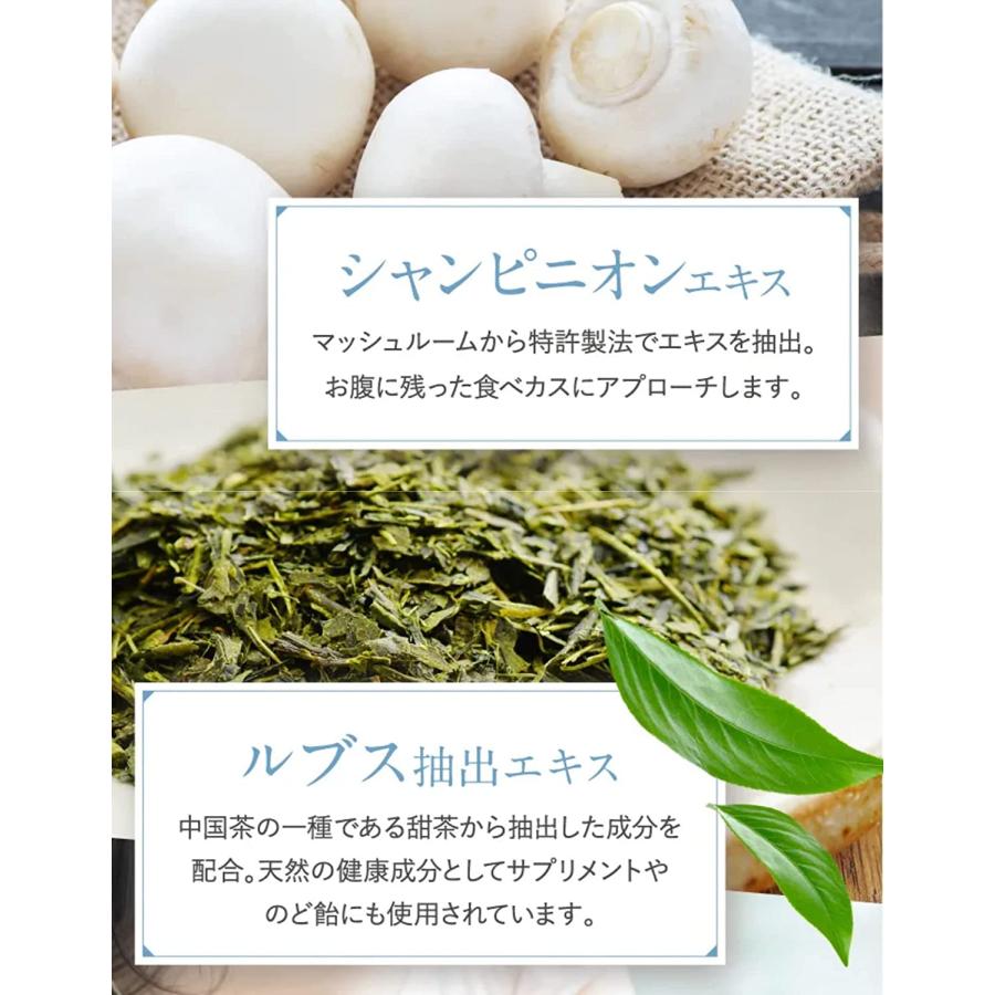 オーラルバリア　サンテミナ　※2パック 公式】オーラルバリア シャンピニオン 緑茶ポリフェノール エチケット