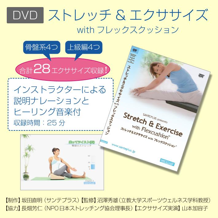 DVD『ストレッチ＆エクササイズ』 : サンテプラスYahoo!店 - 通販