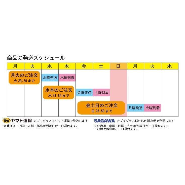 フレックスバレル(くじら型)パールホワイト ピラティスバレル