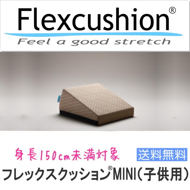 【子供用】フレックスクッションMINI｜santeplus