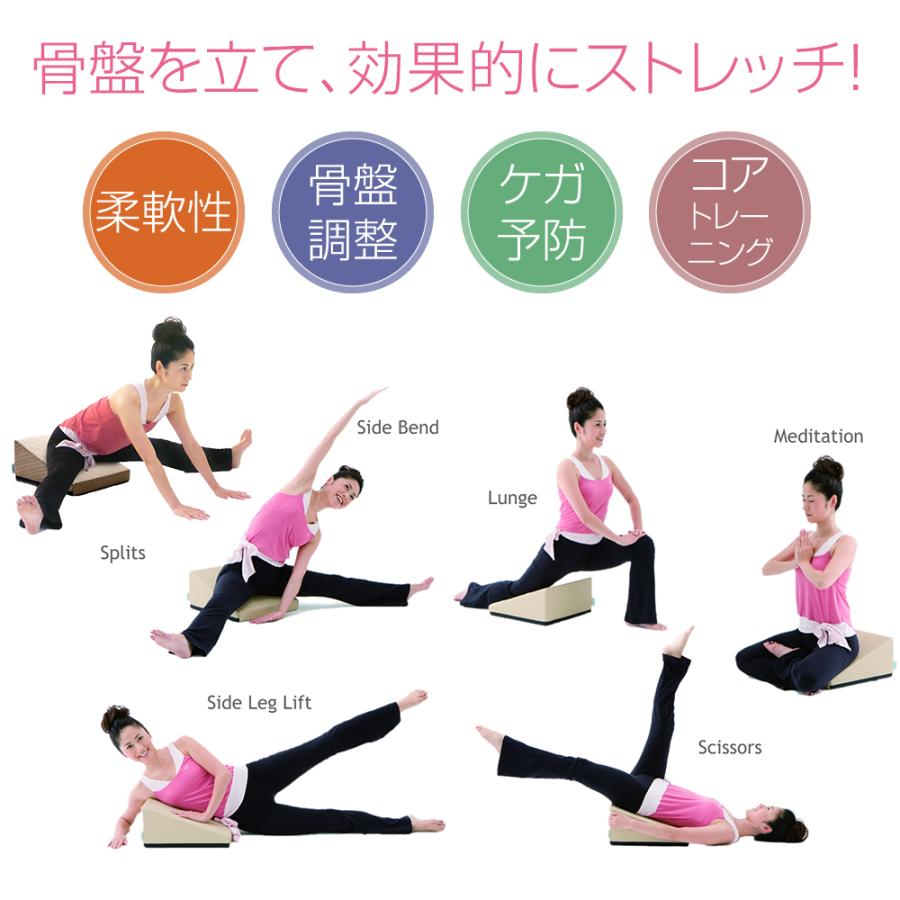 フレックスクッション＋DVD」のセット : サンテプラスYahoo!店 - 通販