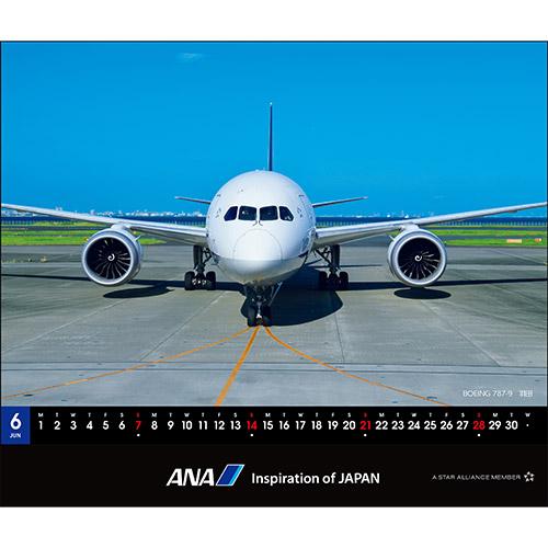 ANA 卓上 2026年版 787 カレンダー : サンテグジュペリ ヤフーショップ