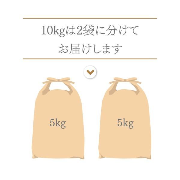 白米 10kg (5kg&times;2袋)  コシヒカリ 特別栽培米  京都丹後産 「令和6年産」