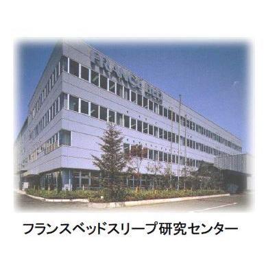 搬入設置 スプリングマットレス セミダブル LT-5000a ミディアムソフト   フランスベッド社製 国産品の画像