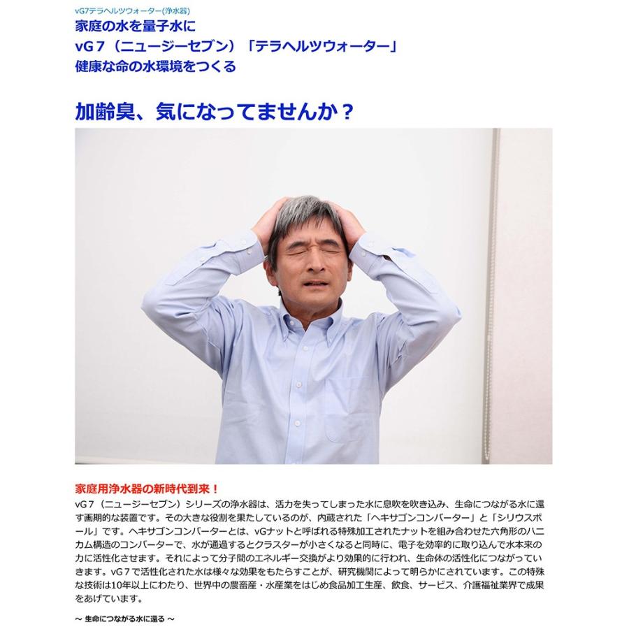 「人气商品」 νG7テラヘルツウォーター(浄水器) 【WSO4526173402】(163350円)