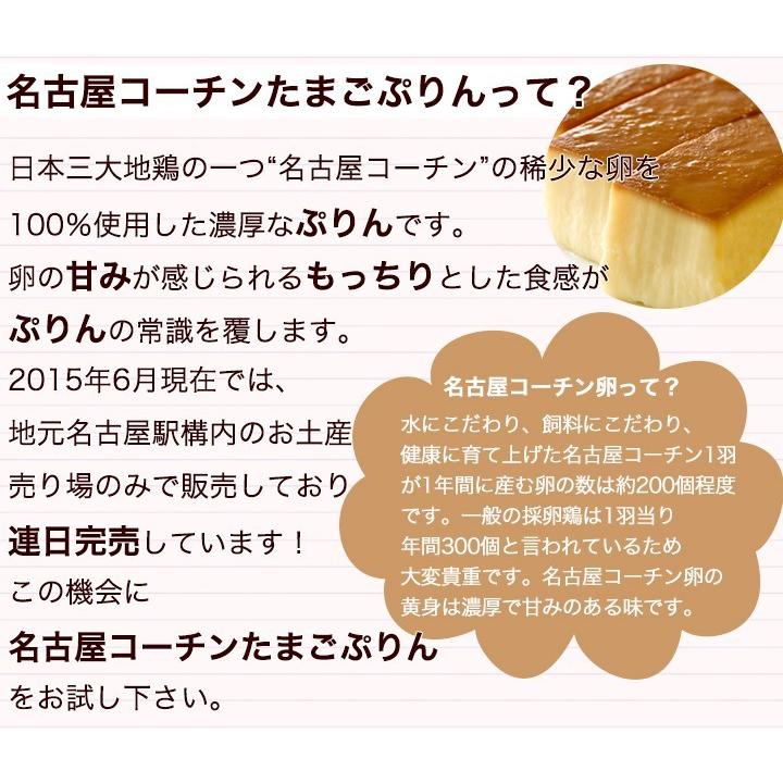 ギフト 送料無料 三和の純鶏名古屋コーチンたまごぷりん詰合せ(2個セット) 中元 歳暮 贈答 創業明治33年さんわ 鶏三和 プレゼント｜sanwa-junkei｜08