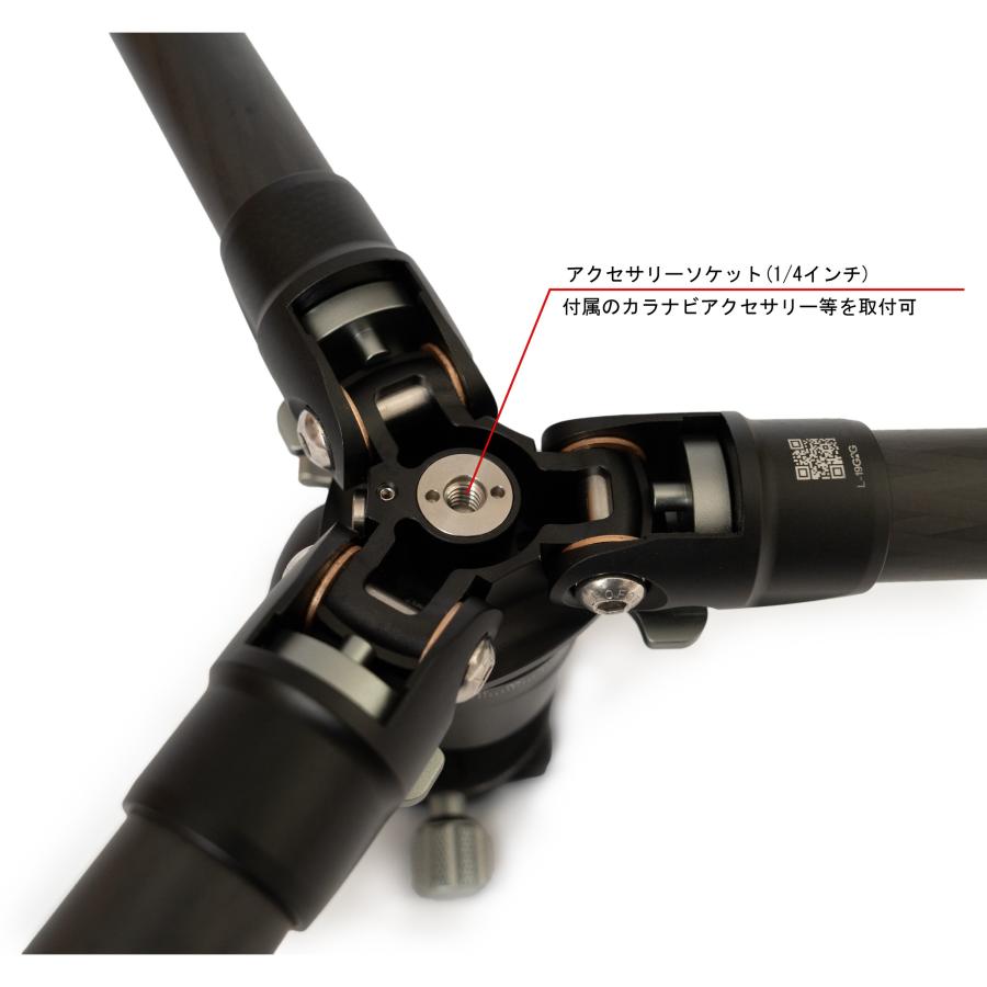 レンジャーシリーズ Leofoto (レオフォト) LS-254C+LH-30R+DC レンジャーシリーズ Leofoto (レオフォト) LS-254C+LH-30R+DC
