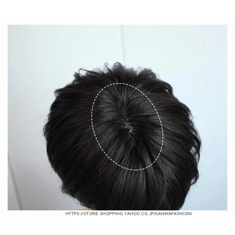 メンズウィッグ フルウィッグ 男性用ウイッグ 耐熱ウィッグ ウィッグ