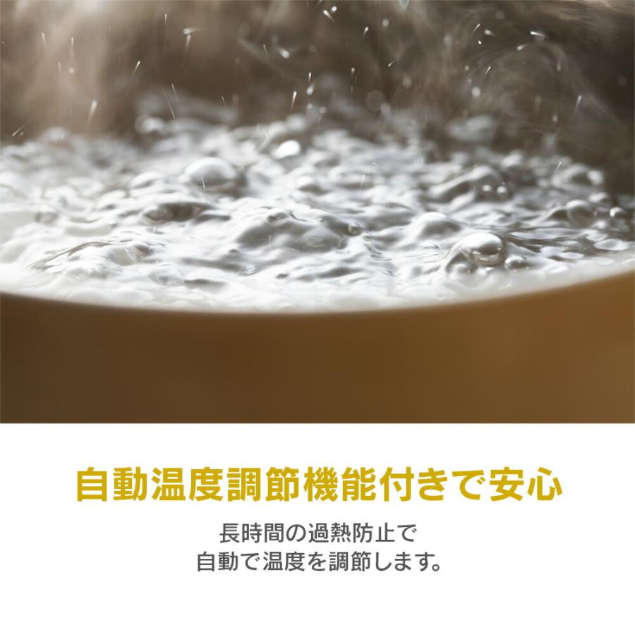 使用 D-STYLIST ラーメンメーカー KDPC-002 電気鍋 600ml Amazon | LITHON (ライソン) ラーメンメーカー KDPC-002B | ラーメン鍋