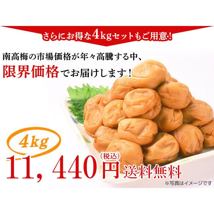 日本直販 紀州南高梅 完熟つぶれ梅 4kg はちみつ味 しそ味 南高梅 100 特選b品 2l 4lサイズの大粒梅だけを厳選 塩分８ 訳あり 大粒 うめぼし Ume02 げんちゃんショップヤフー店 通販 Yahoo ショッピング