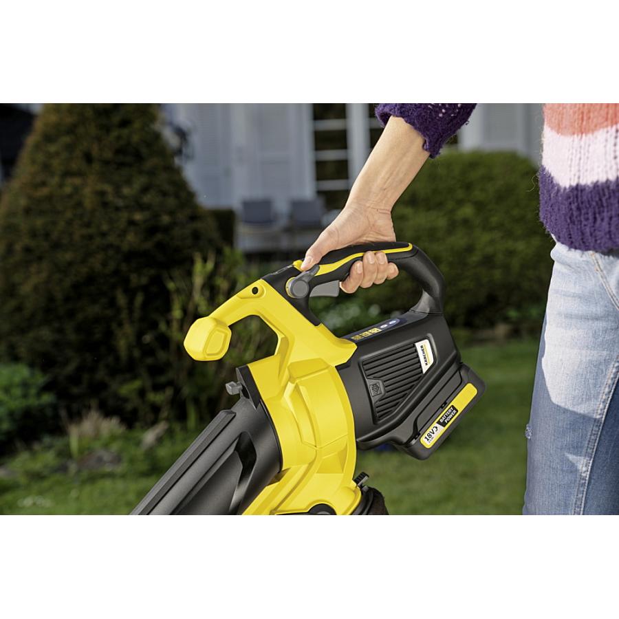 ケルヒャー（KARCHER） BLV 18-200（ブロアバキューム） バッテリー