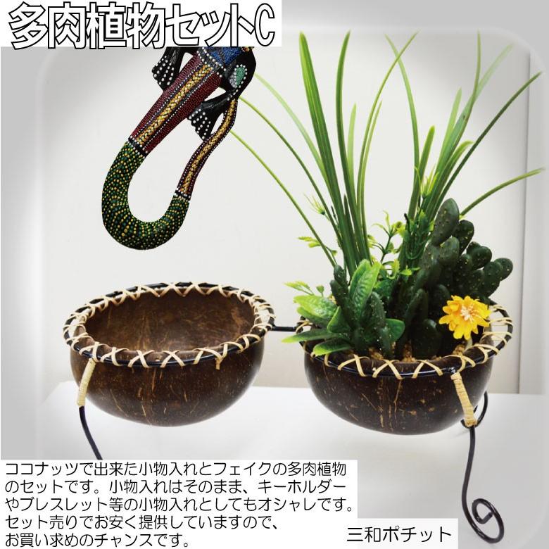 ココナッツトレイ ダブル 多肉植物セット アジアン雑貨 バリ雑貨 
