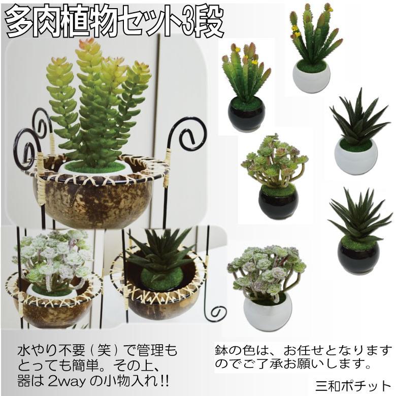 ココナッツトレイ 3段 多肉植物セット アジアン雑貨 バリ雑貨 かわいい ギフト プレゼント オブジェ ハンドメイド インテリア お買得 送料無料 0 775 三和ポチット 通販 Yahoo ショッピング