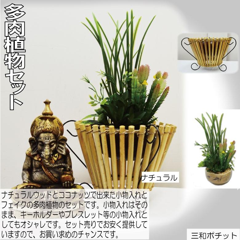 ココナッツトレイ 多肉植物セット アジアン雑貨 バリ雑貨 かわいい