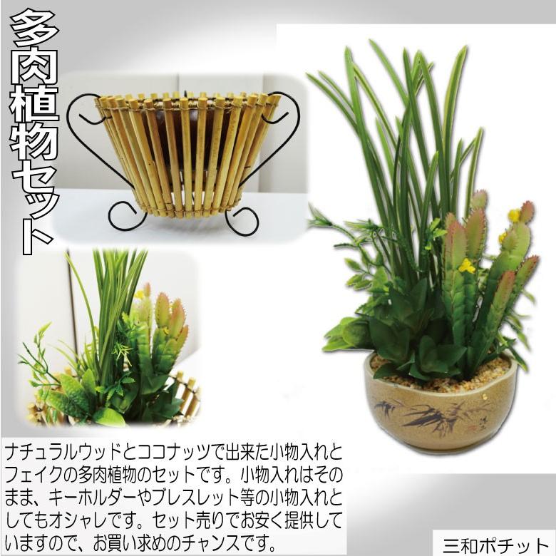 ココナッツトレイ 多肉植物セット アジアン雑貨 バリ雑貨 かわいい