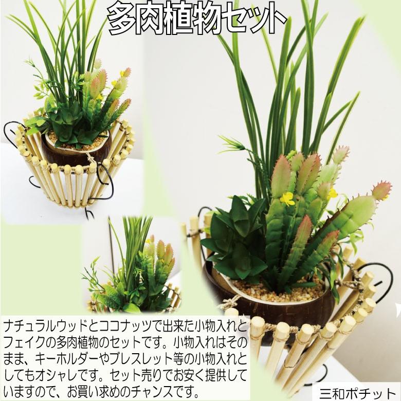 ココナッツトレイ 多肉植物セット アジアン雑貨 バリ雑貨 かわいい