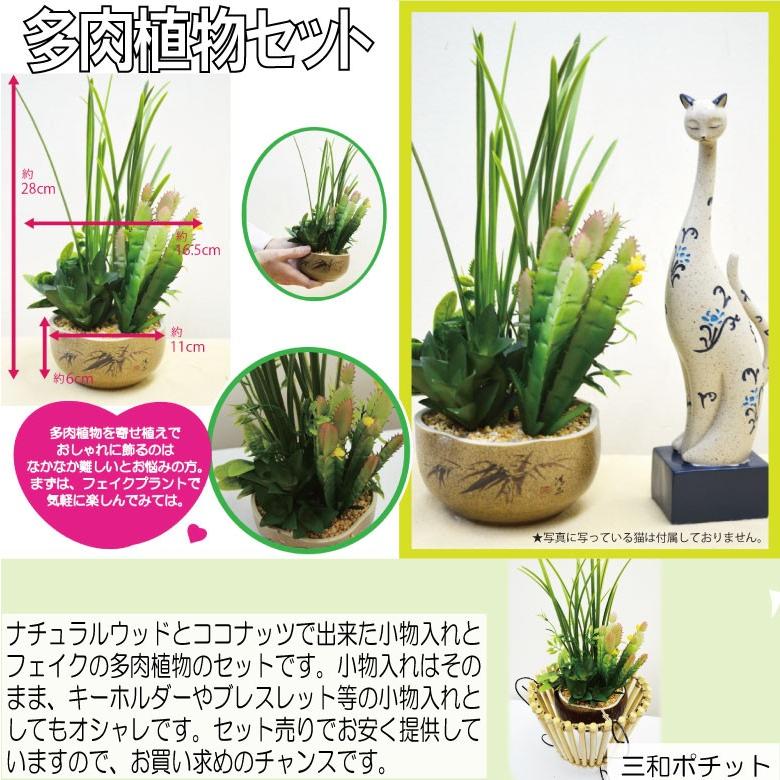 ココナッツトレイ 多肉植物セット アジアン雑貨 バリ雑貨 かわいい