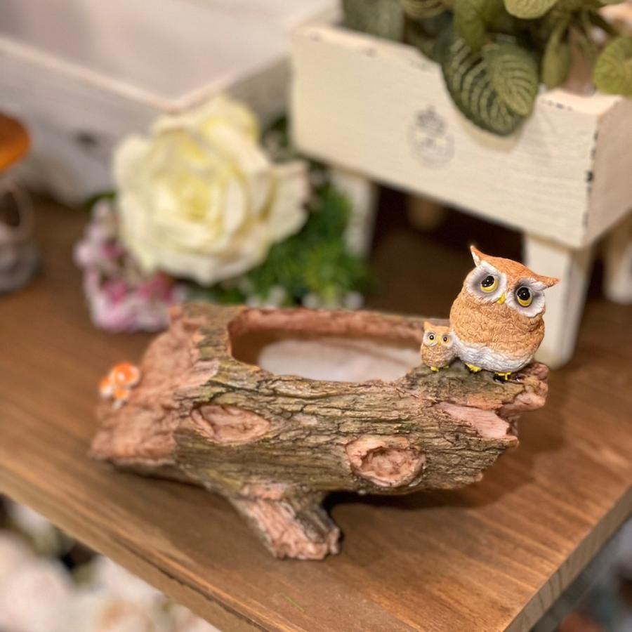 フクロウ親子とキノコ 小物入れ 梟 ふうろう 不苦労 福朗 カントリー