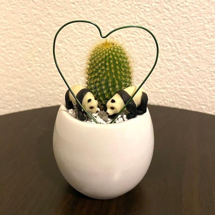 受注生産品 パンダ ぱんだ ハート サボテン 観葉植物 インテリア グリーン ミニチュア かわいい 動物 フィギュア Ca51 Panda 三和ポチット 通販 Yahoo ショッピング