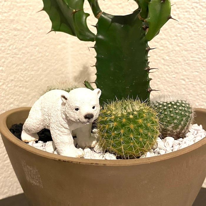 受注生産品 シロクマ ホッキョクグマ しろくま サボテン 観葉植物