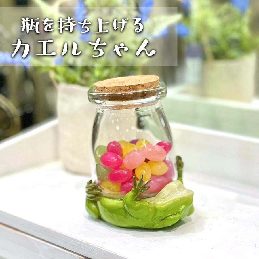 カエル 瓶 持ち上げ かえる かわいい おもしろ 小物入れ 収納 ed11612a