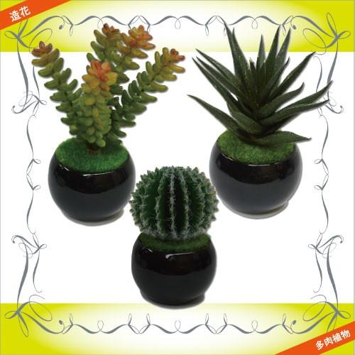 造花 フェイクグリーン 多肉植物 3個セット 黒C サボテン グリーン