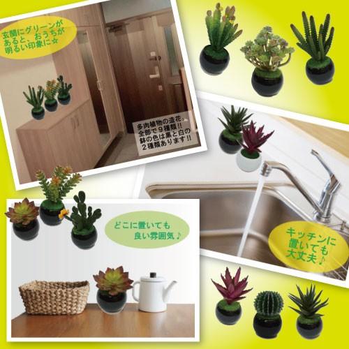 造花 フェイクグリーン 多肉植物 3個セット 黒C サボテン グリーン