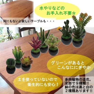 造花 フェイクグリーン 多肉植物 3個セット 黒C サボテン グリーン