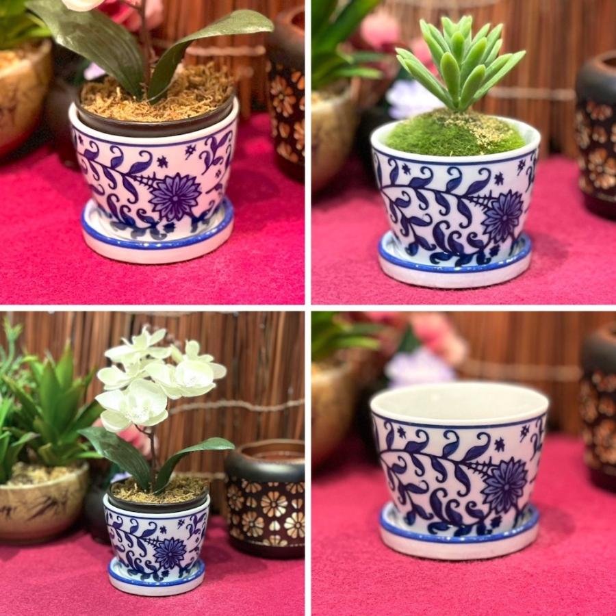 そば猪口型ミニ植木鉢 5種 lhr514 底穴あり 受け皿 盆栽 多肉植物 塊根