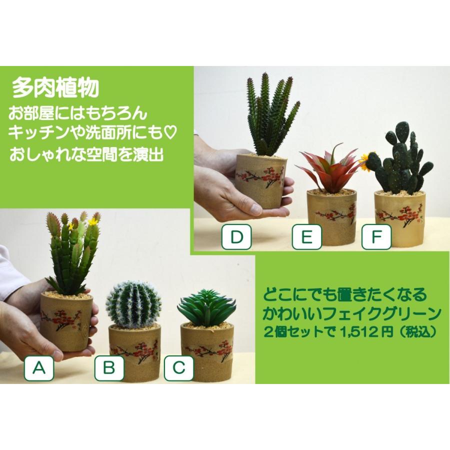 2個セット 造花 フェイクグリーン 多肉植物 サボテン グリーン