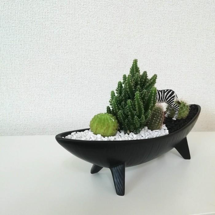 受注生産品 しまうま サボテン 観葉植物 さぼてん カクタス インテリア グリーン ミニチュア かわいい 動物 フィギュア アニマルガーデン フィギュアが選べる 寄せ植え セレウス 電磁波サボテン 舟形大タイプ - 【花とインテリア雑貨 フルール・バザール】-  プレゼント＆ギフトのギフトモール
