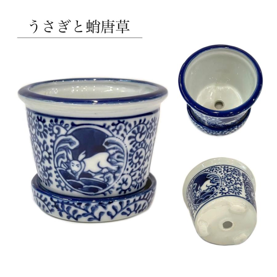 青花十二柄植木鉢 sl-a11 ミニポット 植木鉢 鉢 和風 和柄 盆栽 青花十二柄植木鉢 sl-a11 ミニポット 植木鉢 鉢 和風 和柄 盆栽