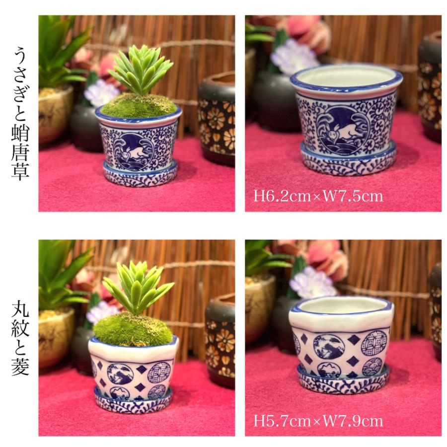 青花十二柄植木鉢 sl-a11 ミニポット 植木鉢 鉢 和風 和柄 盆栽 多肉植物 塊根植物 苔玉 小物入れ 穴あき 底穴