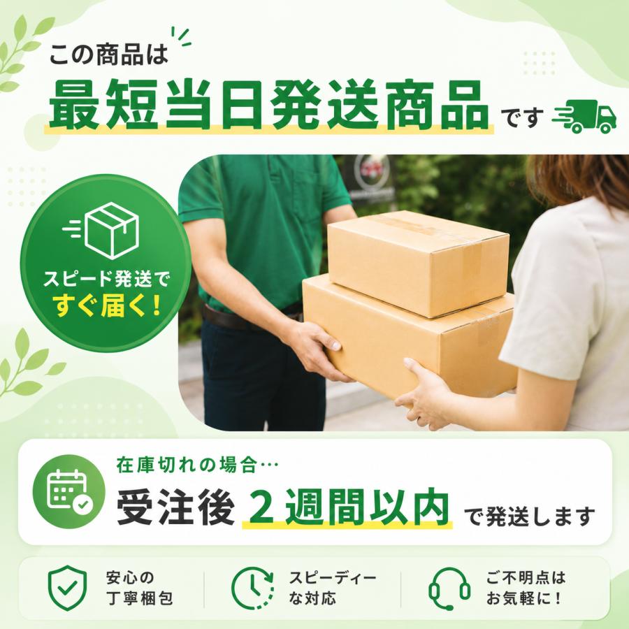 アサヒ衛陶 エディ848 TRA38884R対応 修理フルセット ボールタップ