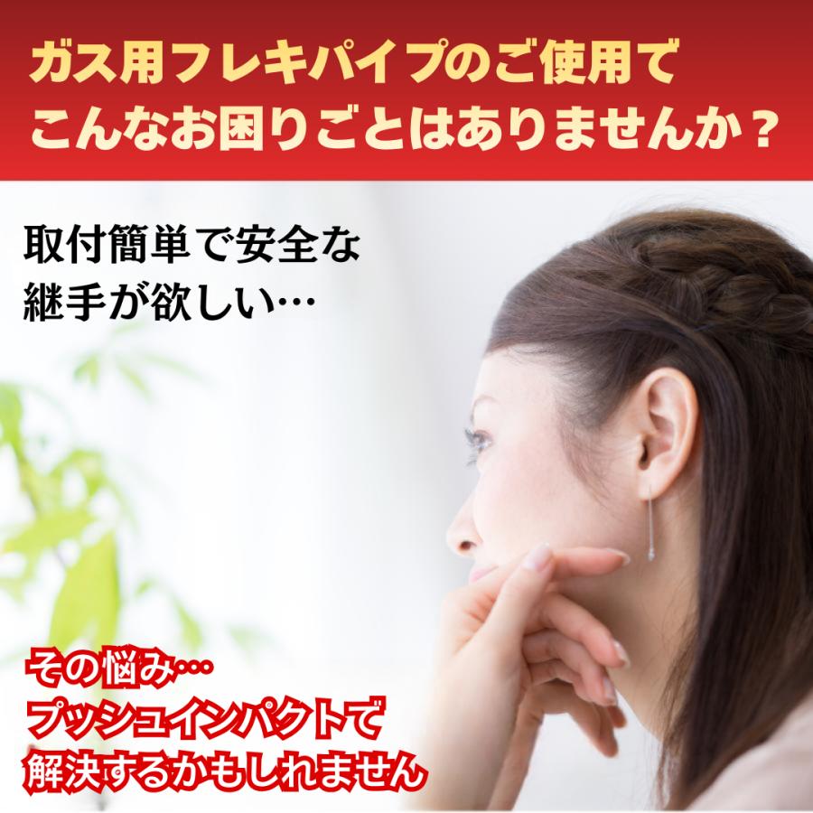 プッシュインパクト 片ねじソケット 都市ガス用 10A FIS 10A×R1/2 ソ 