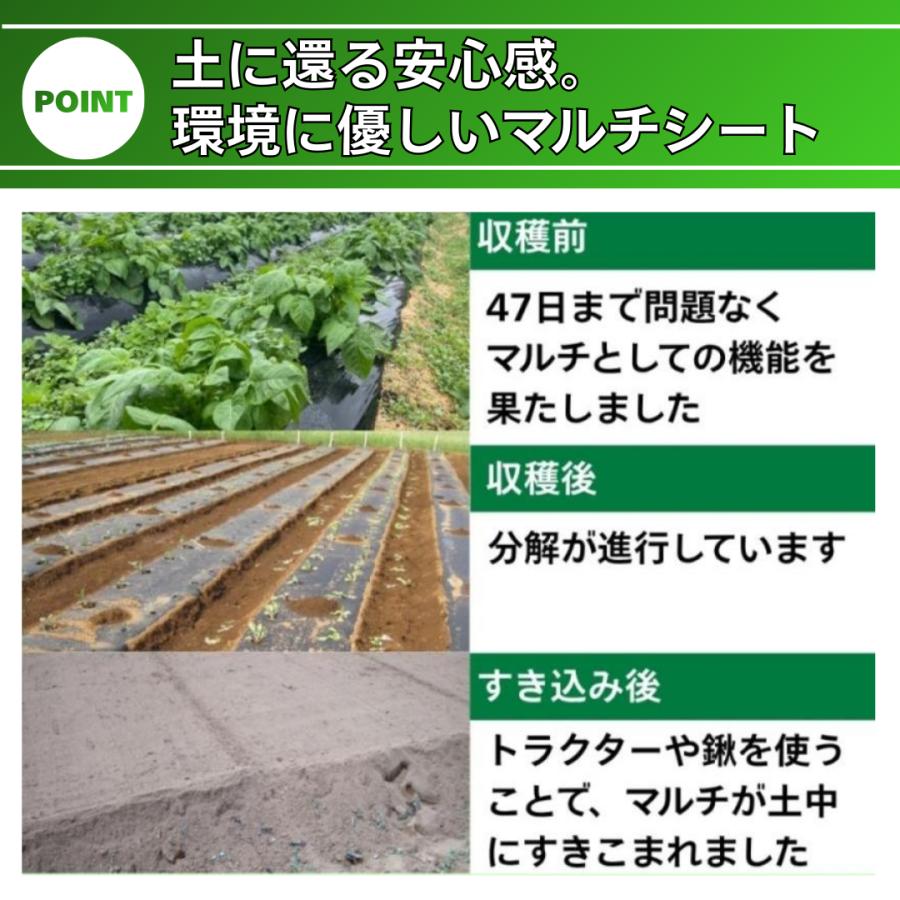 マルチシート 黒 地球にやさし 95cm×10m 忍者マルチ MS-64BK10 生分解