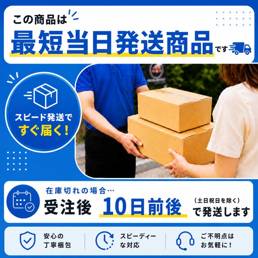 INAX（イナックス） LIXIL INAX DT-3810 GDT-3810 アメージュCシリーズ