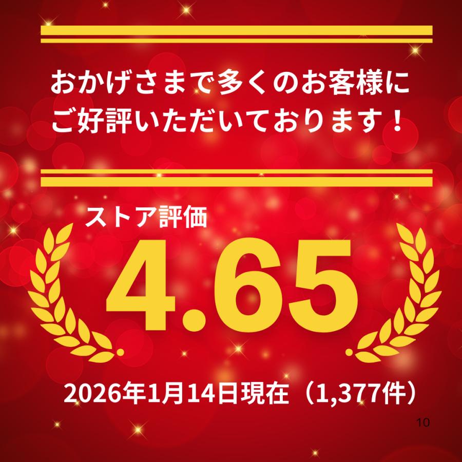 ジャニス工業 SV2000 SV2001 対応 ボールタップ フロート弁 フレキホース セット MESV200-06 MEST600-02 手洗付タンク修理 ValueClean BMシリーズ_5