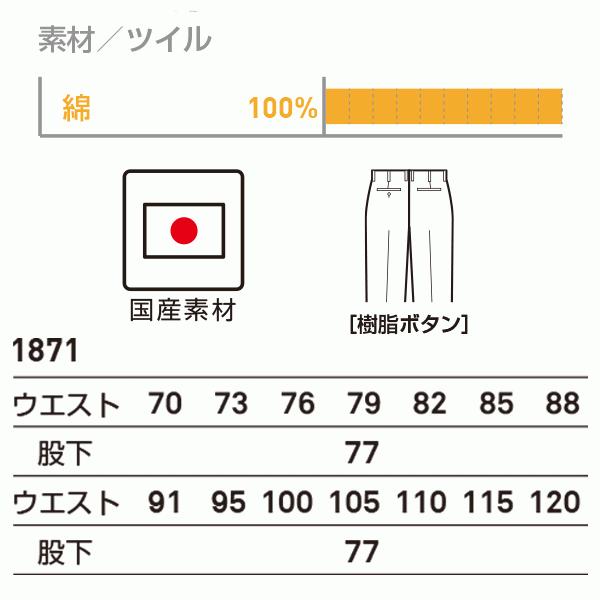Bgb 1871