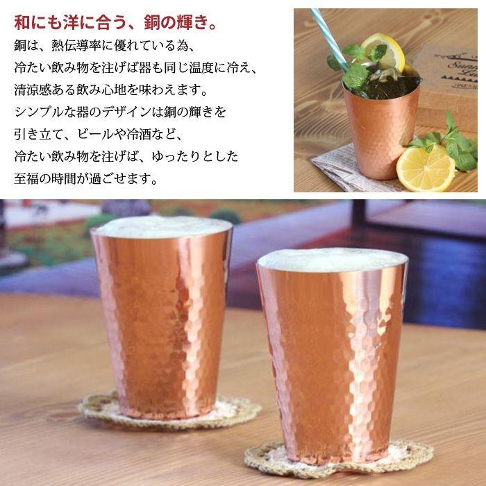 ginka 銀華 spore いいサイズ ビカクシダ wax0415 様専用 ginka 銀華