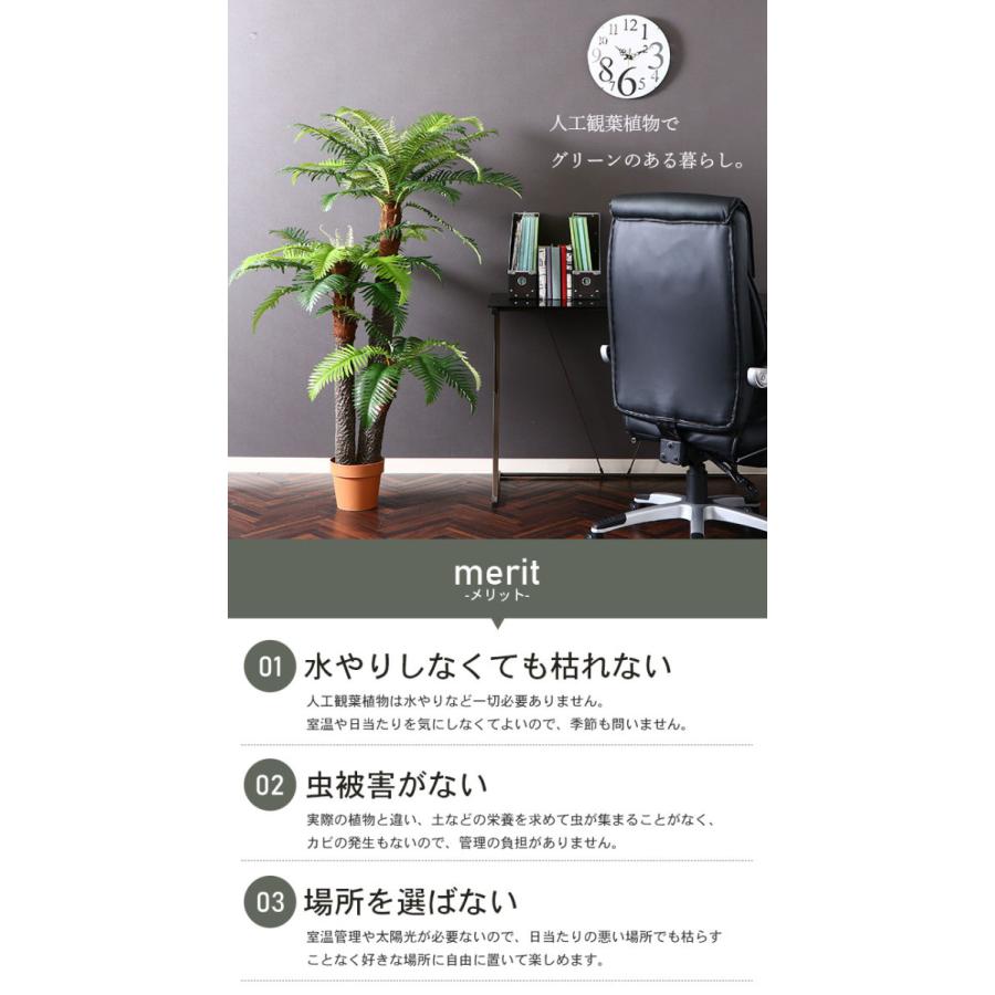 人工 植物 鉢植え フェイクグリーン 高さ 147cm 7号鉢対応 観葉植物 シダ 人工 造花 オフィス 観葉 インテリア 室内 鉢 リビング おしゃれ M5 Mgkfgb さんじょうインテリア 通販 Yahoo ショッピング