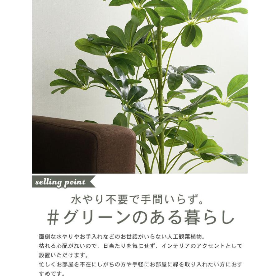 お歳暮 人工 植物 鉢植え フェイクグリーン 高さ 1cm 7号鉢対応 観葉植物 人工 ヤドリフカノキ 造花 オフィス 観葉 インテリア 室内 鉢 リビング 最先端 Jagarandaily Com