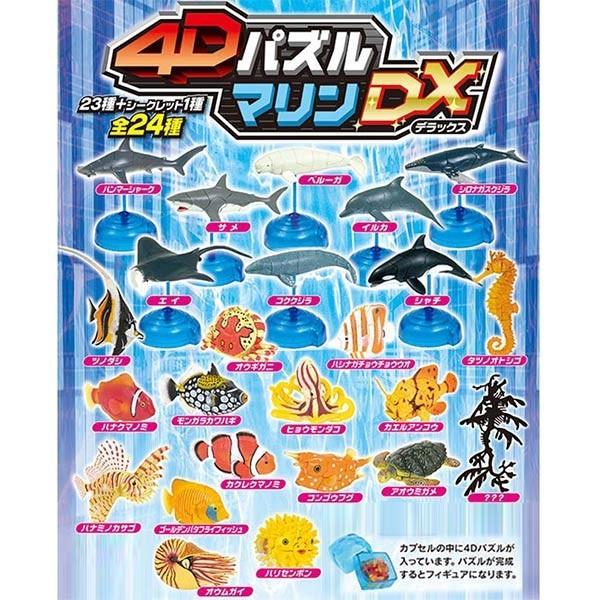 4Dパズル マリンDX 海洋生物 12個セット 立体パズル : おもちゃの三洋